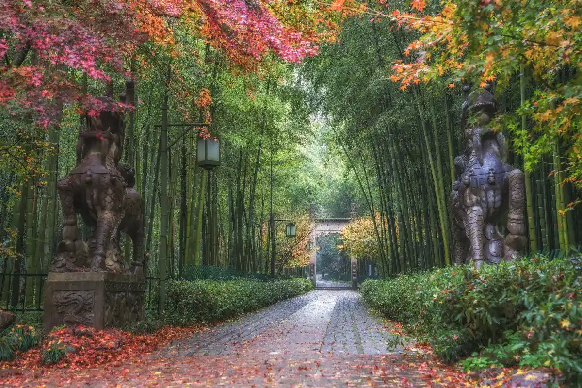 ป่าไผ่หยุนฉี