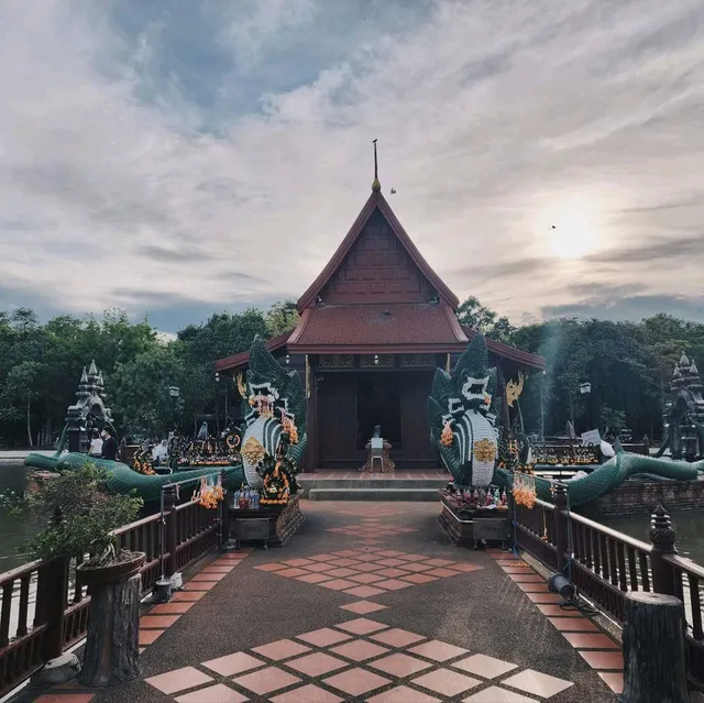 วัดป่าคลอง11