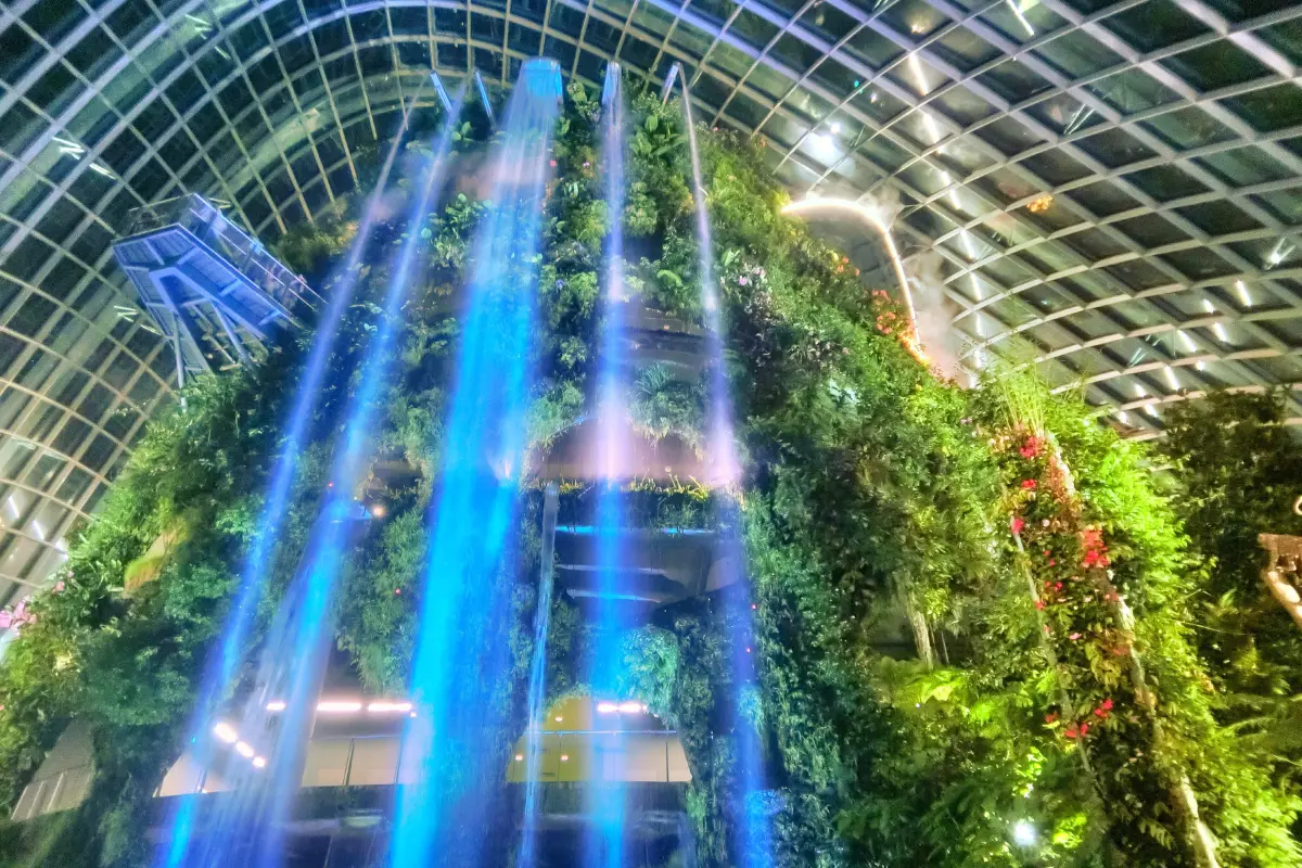 Cloud Forest Singapore