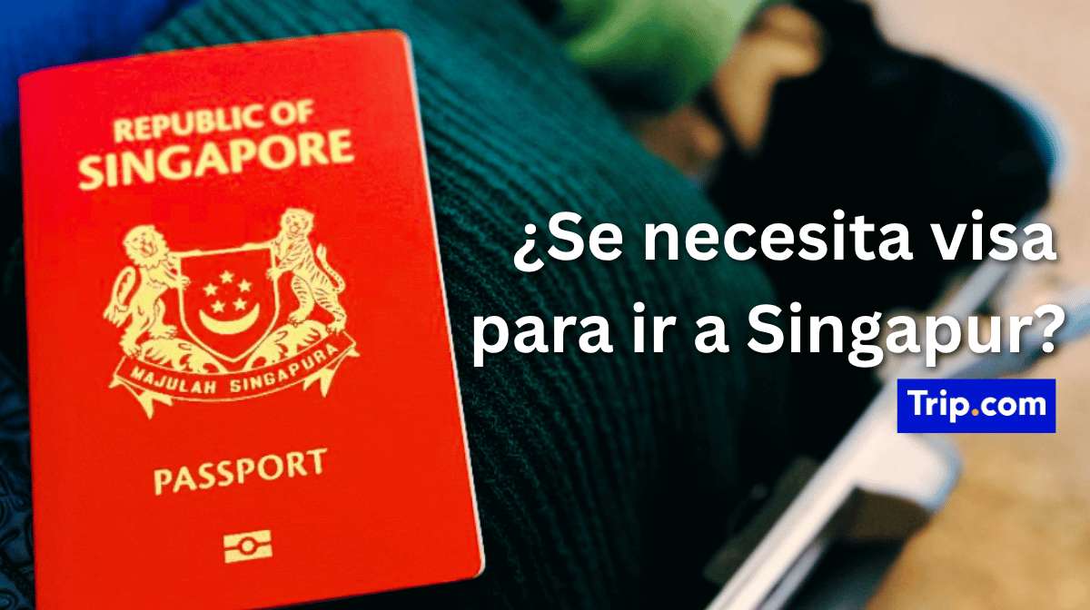 Requisitos de entrada a Singapur: ¿se necesita visado?