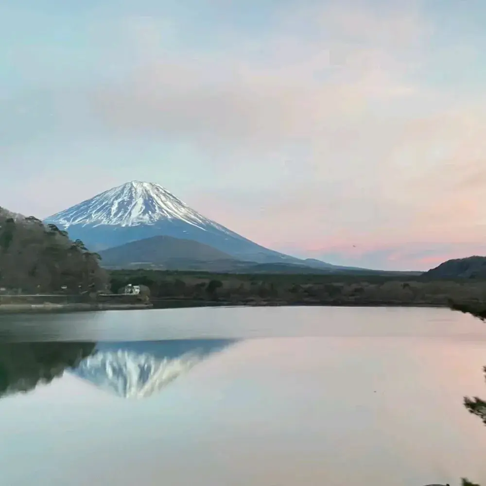 富士山煙火|活動亮點