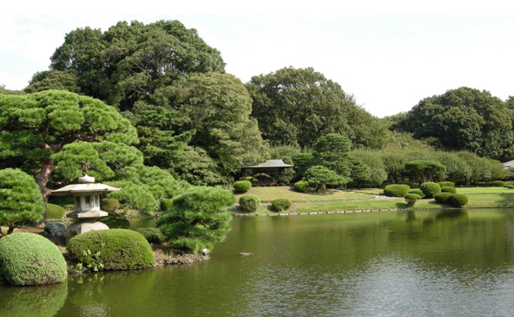 新宿御苑門票 | 日本庭園