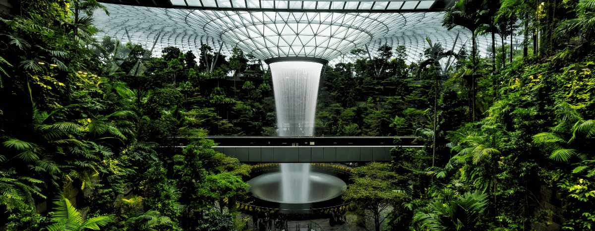La cascade intérieure du Jewel Changi Airport à Singapour, entourée d'une végétation tropicale luxuriante sous une coupole de verre.