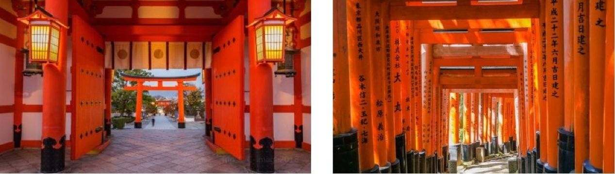 Fushimi Inari-taisha: the torii tunnels