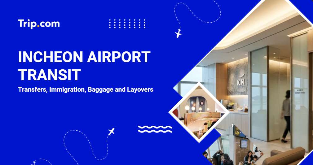 Incheon Airport Transit: Transfers, Immigration & Baggage | Trip.com