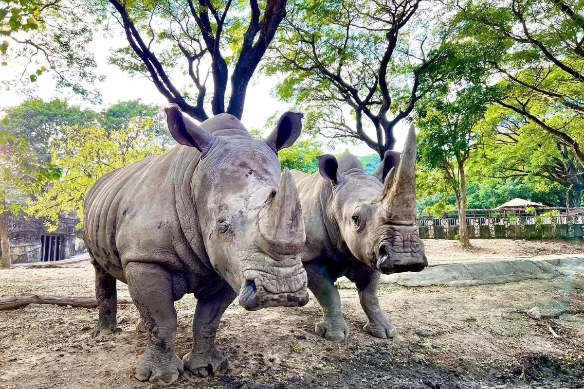 高雄市壽山動物園