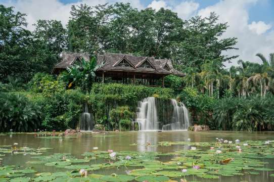 中科院西雙版納熱帶植物園