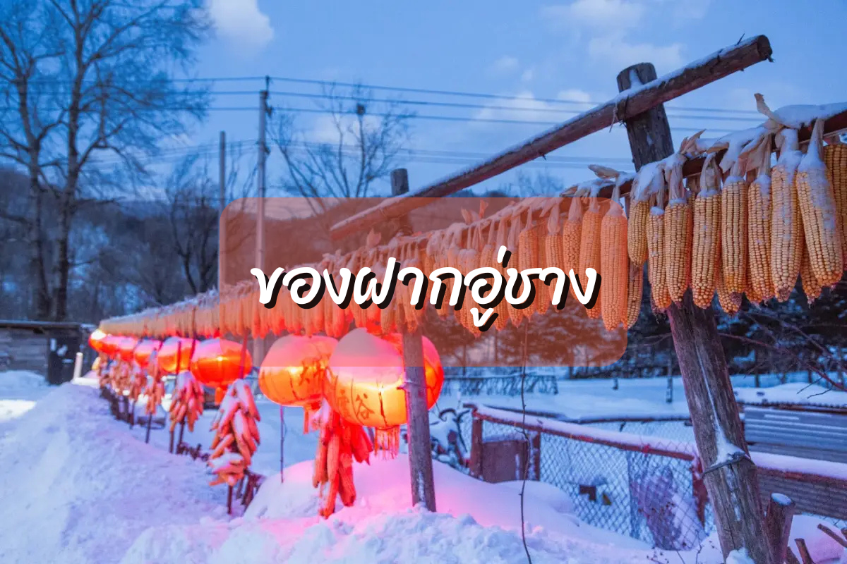 ของฝากอู่ชาง