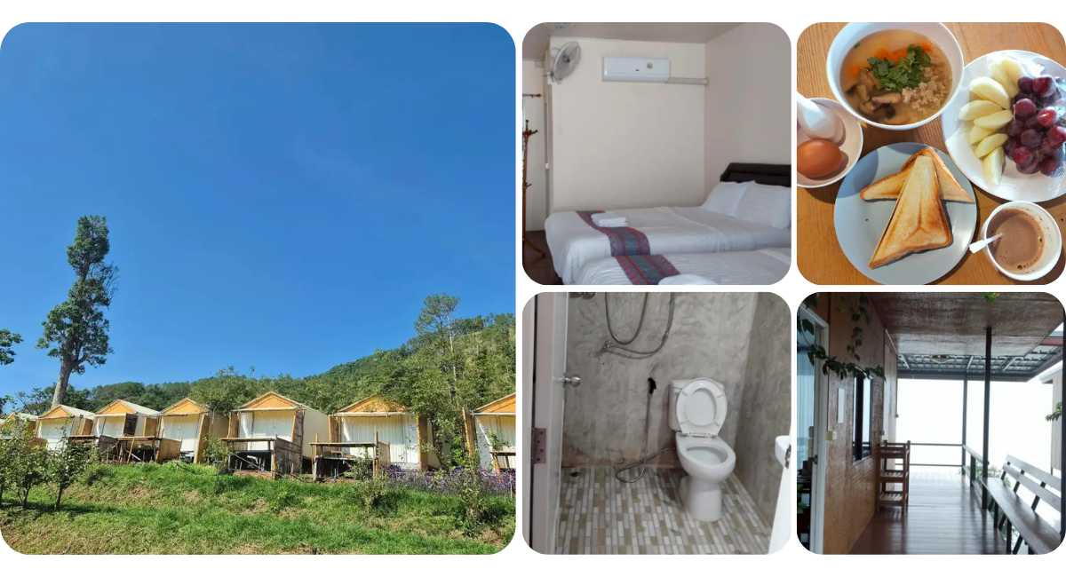 ดอยหมอกตะวันวิว