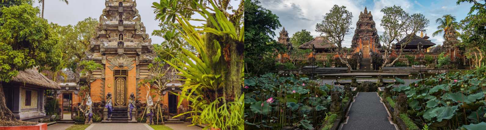 Bali's temple complexes, surrounded by tropical gardens, ponds and lush greenery.