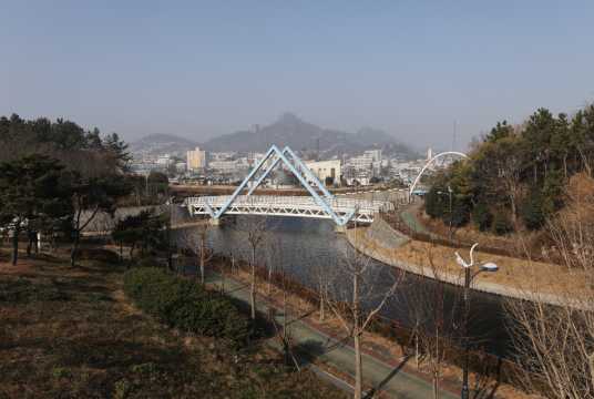 목포 벚꽃 명소