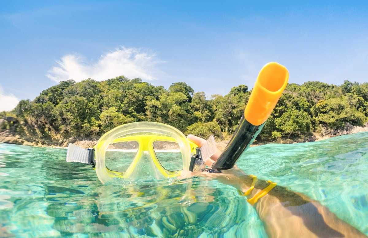 ดำน้ำตื้น (Snorkeling) และดำน้ำลึก (Scuba Diving) 