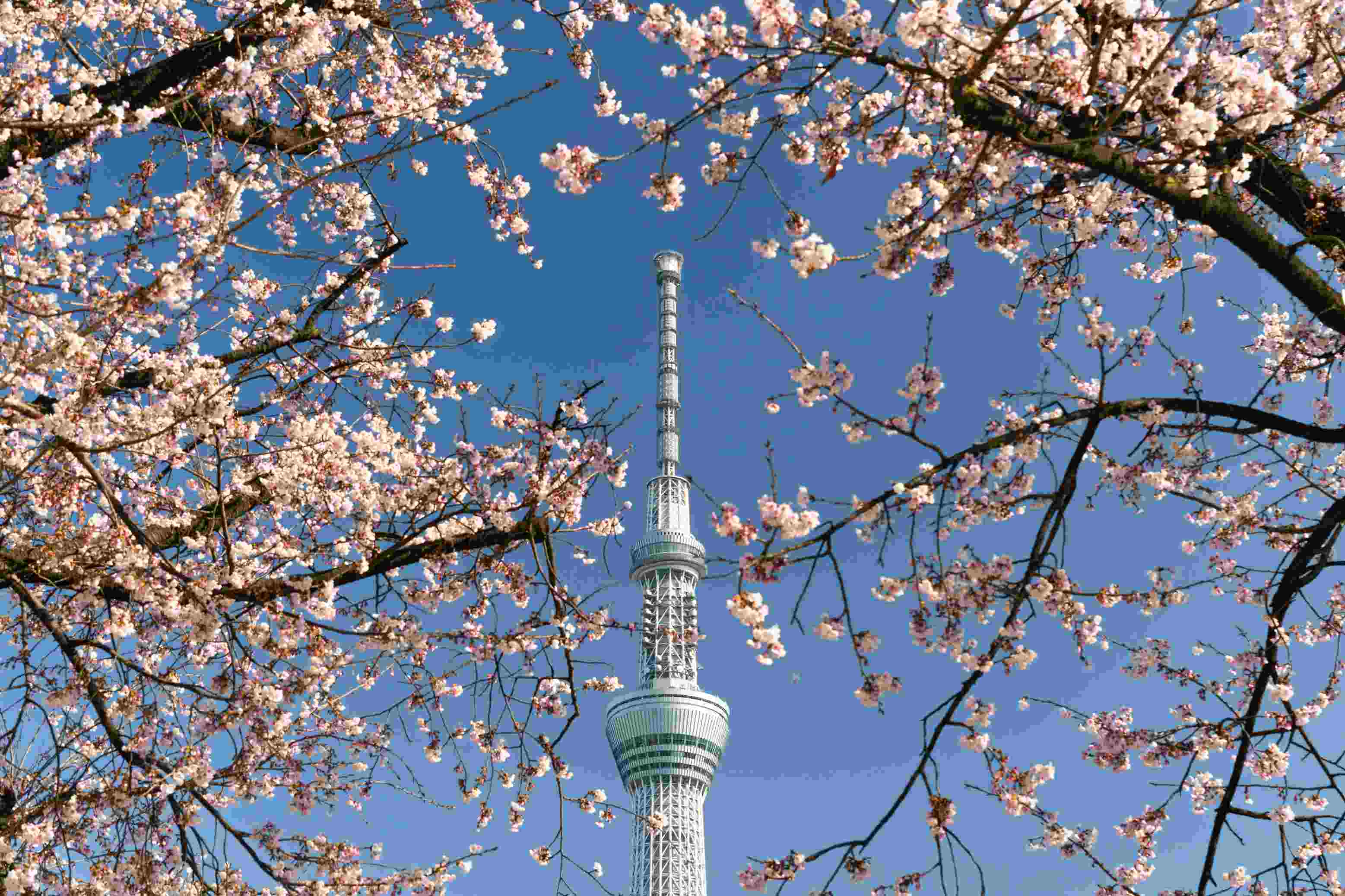 Tokyo Skytree