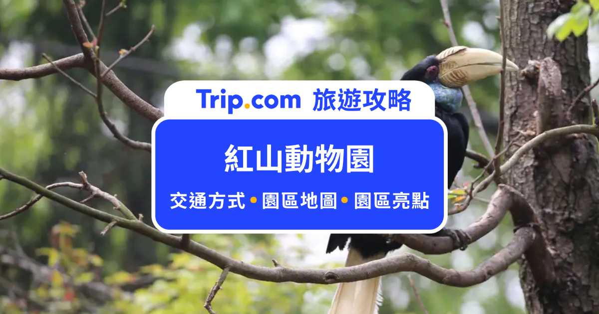 紅山動物園門票&攻略 | Trip.com
