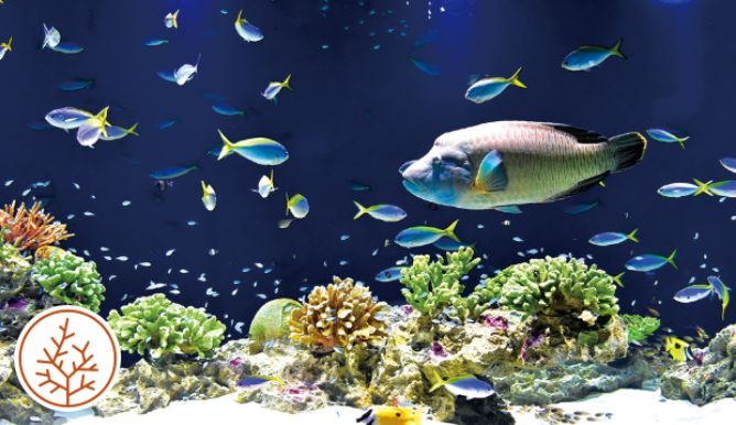海洋世界海之中道