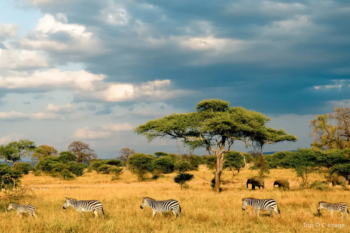 馬賽馬拉國家保護區
