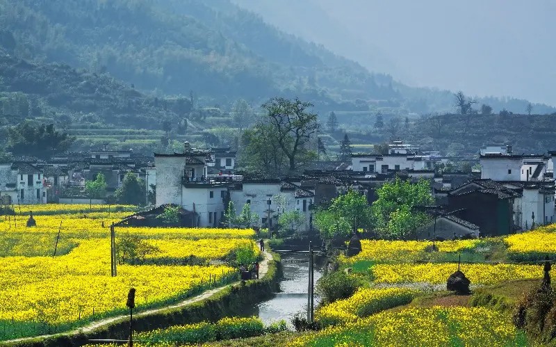 중국 황산 여행, 황산 우위안