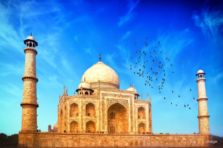 การเปรียบเทียบผู้ให้บริการ eSIM อินเดีย