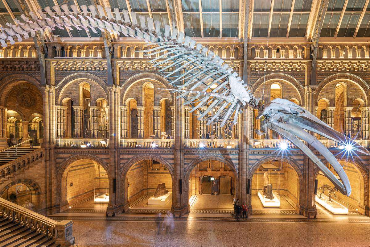 倫敦跨年派對 自然史博物館