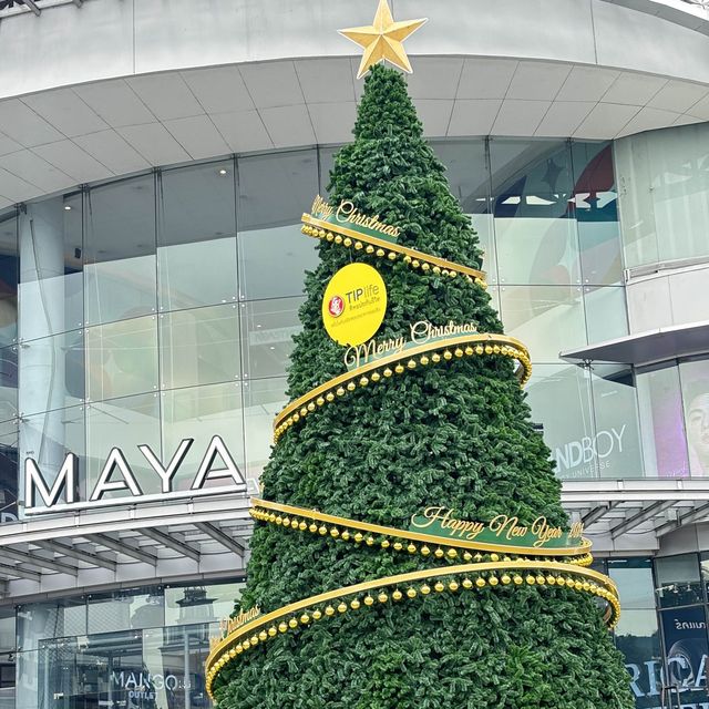 ต้นคริสต์มาสหน้าเมญ่าเชียงใหม่