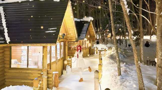 삿포로에서 비에이 열차