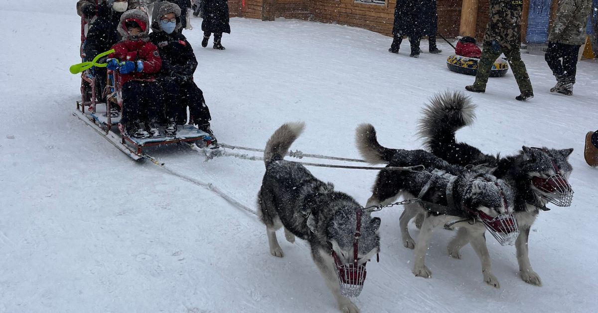 หมู่บ้านหิมะฮาร์บิน (China Snow Town) คู่มือเที่ยว 2569 สำหรับนักท่องเที่ยวไทย | Trip.com