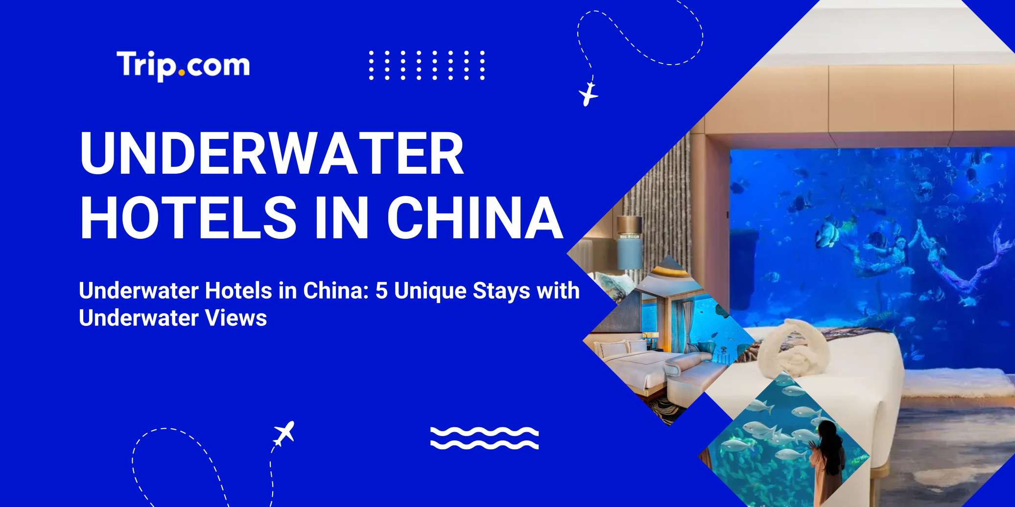 Underwater Hotels in China: 5 Unique Stays with Underwater Views | Trip.com