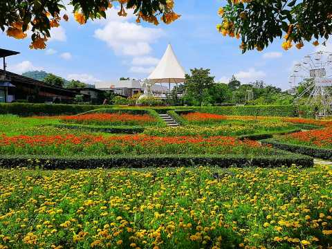 The Bloom by TV Pool - สวนดอกไม้เขาใหญ่