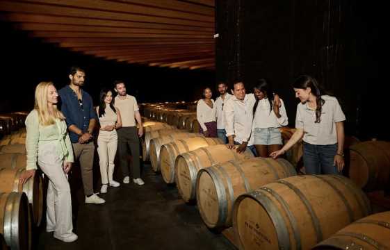 바르셀로나 와이너리 투어