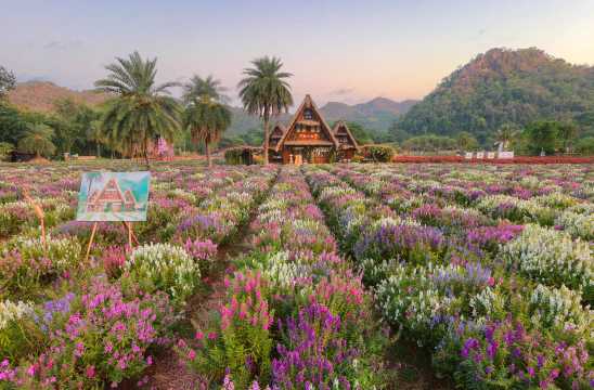 ฮอกไกโดเขาใหญ่
