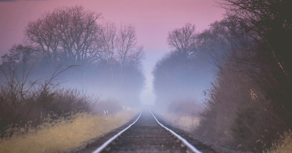Railway lines through a misty forest landscape