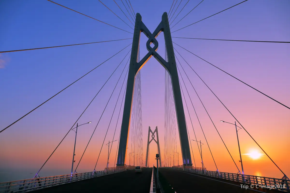 珠海金巴, 港珠澳大橋