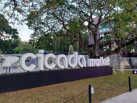 ตลาด Cicada