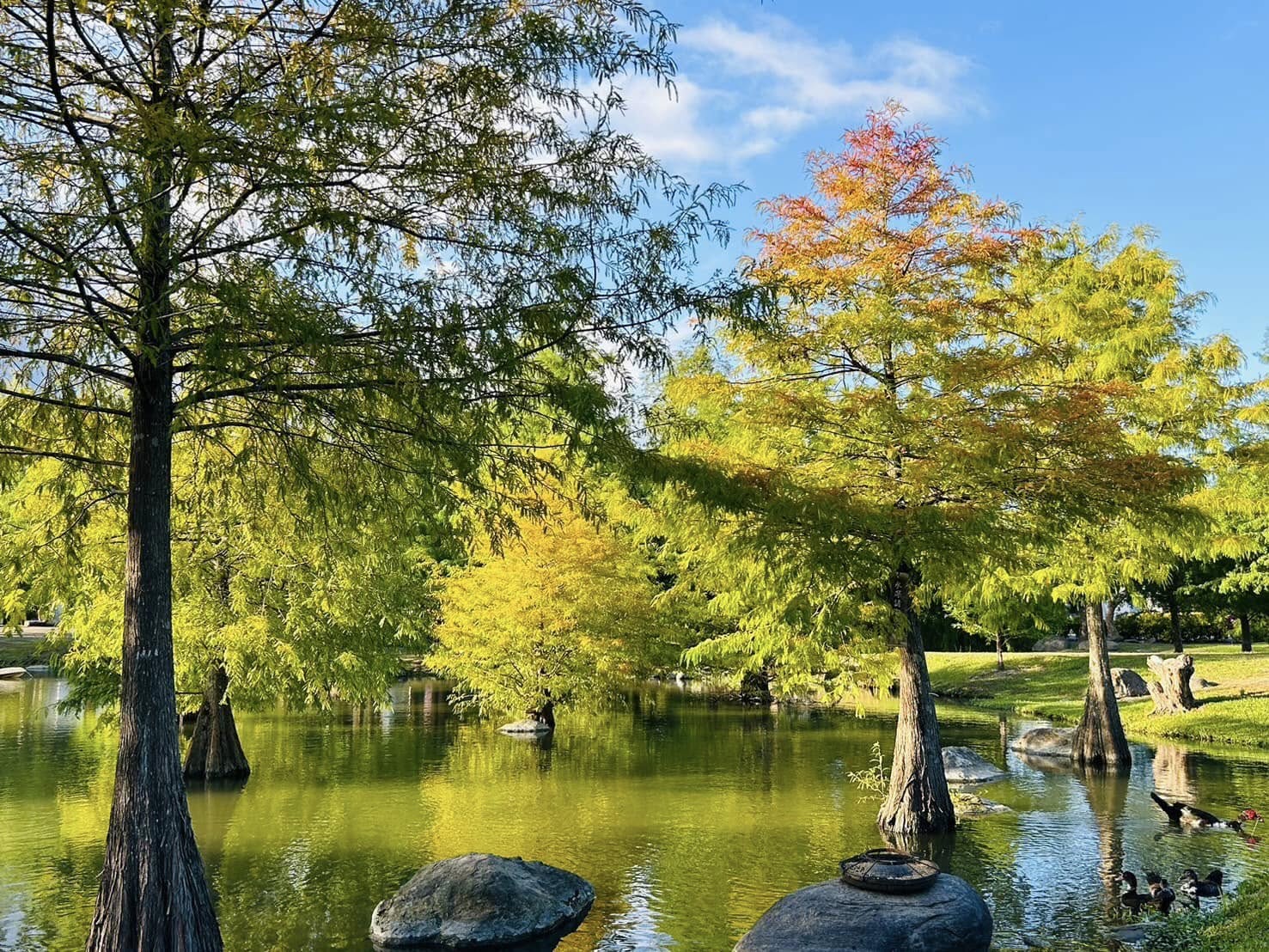 松湖驛站
