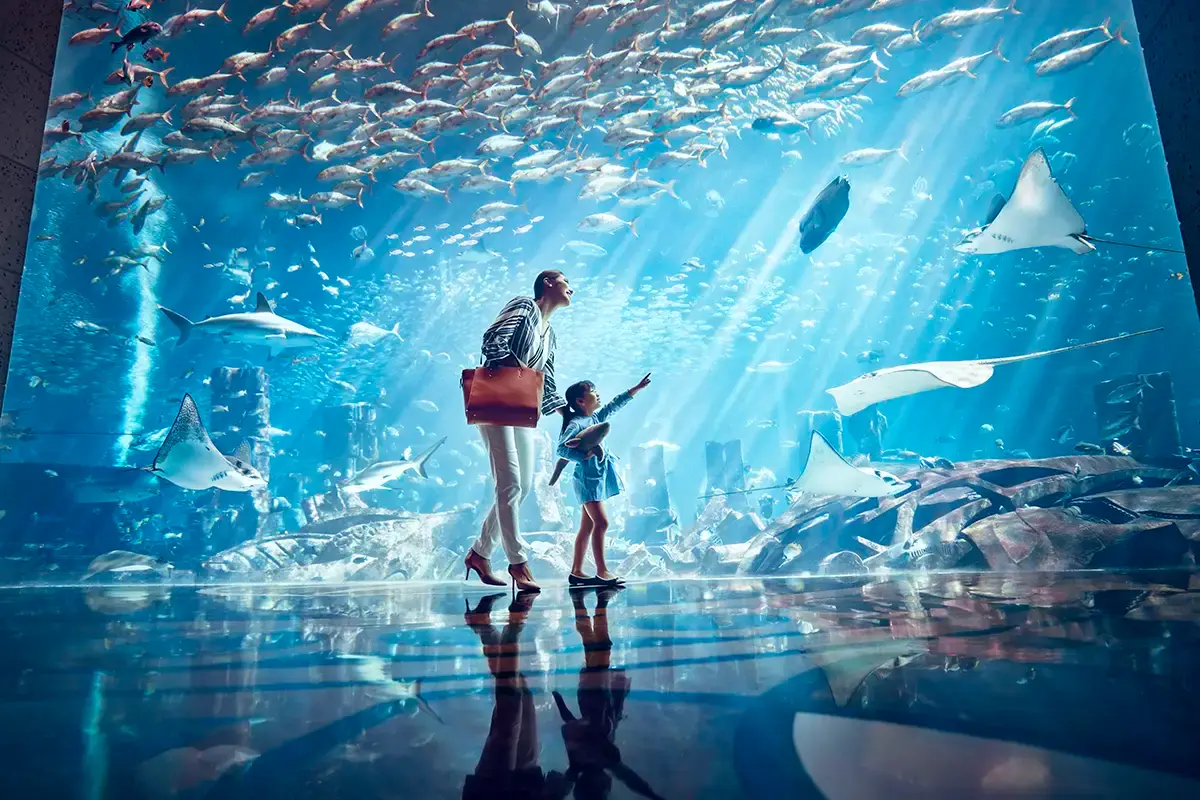三亞亞特蘭蒂斯失落的空間水族館
