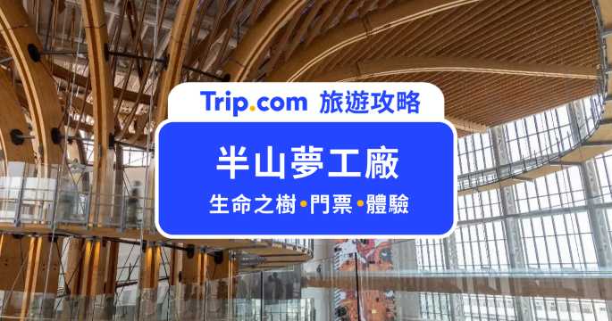 半山夢工廠怎麼玩？解鎖南投最酷室內景點，30 公尺巨大樹屋超震撼！ | Trip.com