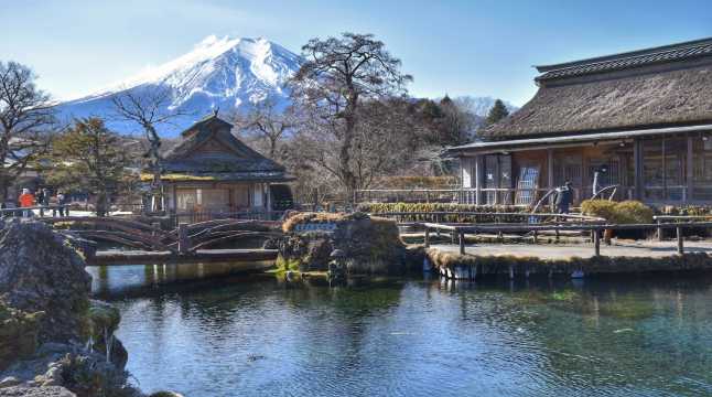 โอชิโนะฮักไก