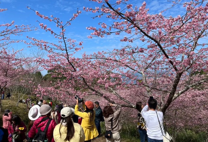 高雄春季 旅遊貼士