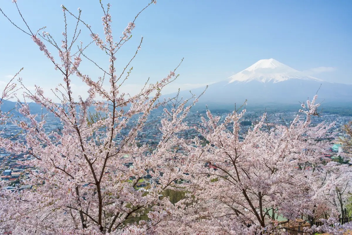 新倉山淺間公園