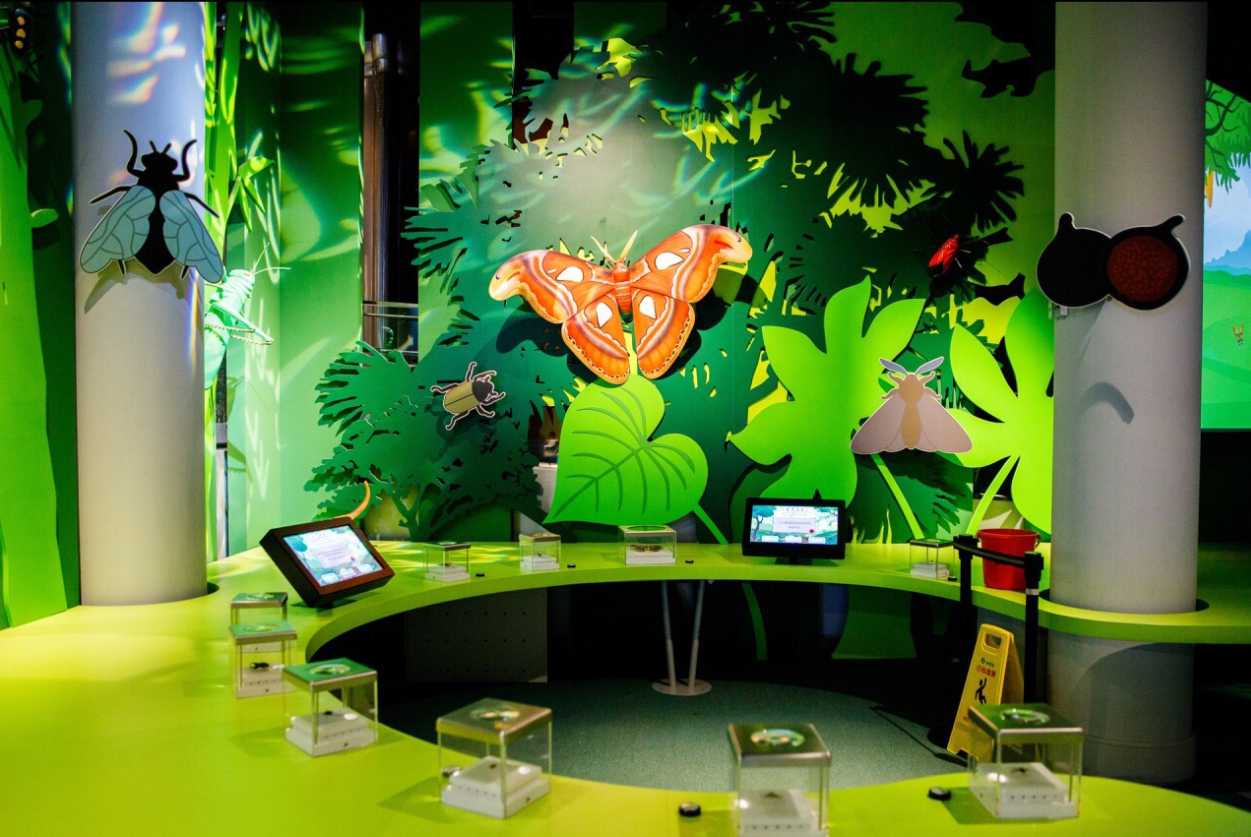 พาลูกเที่ยวฮ่องกง