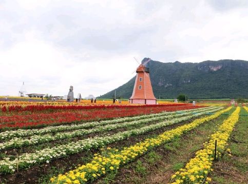 บิเอะ ฟลาวเวอร​์แลนด์