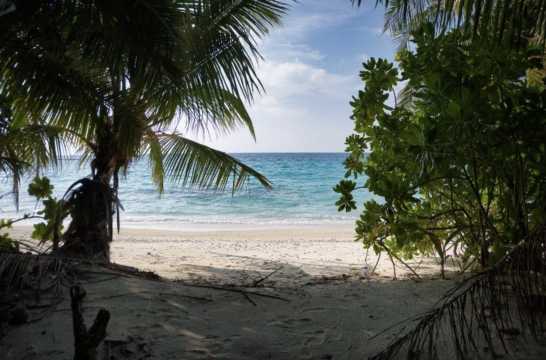 몰디브 신혼여행 패키지 디구라