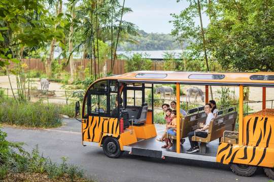 สิงคโปร์ ซู (Singapore Zoo)