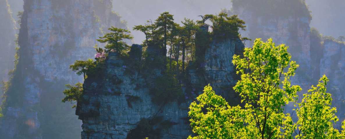 Pilar de roca con árboles en la cima en el Parque Nacional Zhangjiajie.