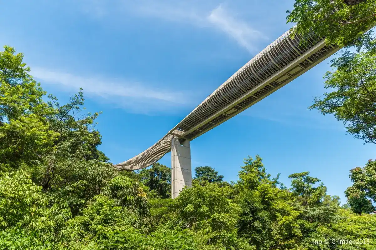 Henderson Wave Bridge