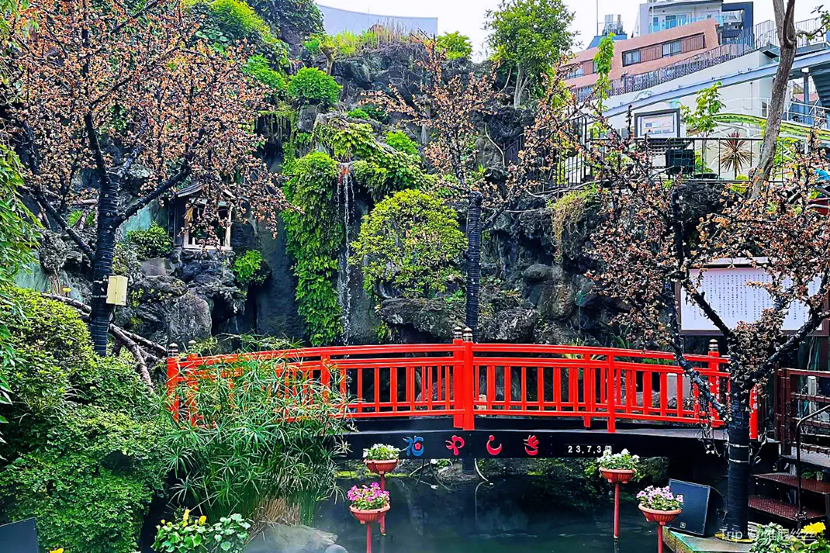 淺草花草敷