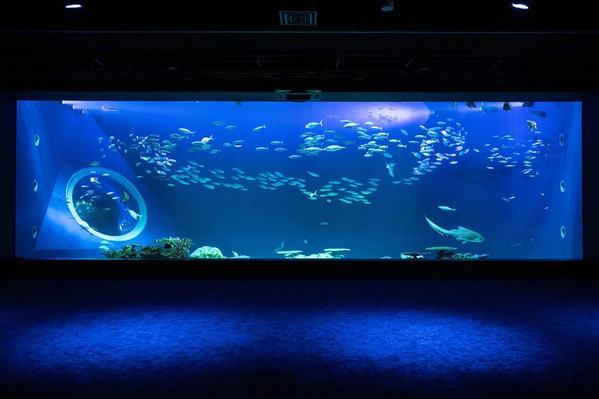 DMM Kariyushi 水族館｜沖繩水族館介紹 
