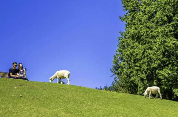 고베 당일치기 여행 코스