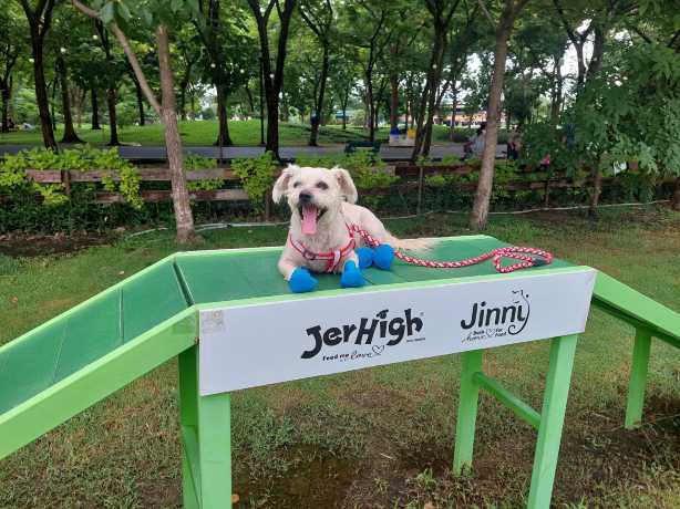 โซน Pet-Friendly