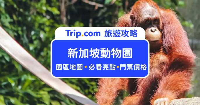 【2026 新加坡動物園門票】前往全球最佳動物園之一，和紅毛猩猩共進早餐、餵食大象、白犀牛 | Trip.com